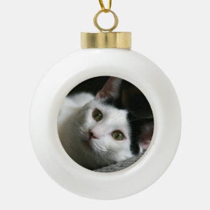 Cat Ornament