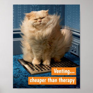 Cat Over Grate Poster