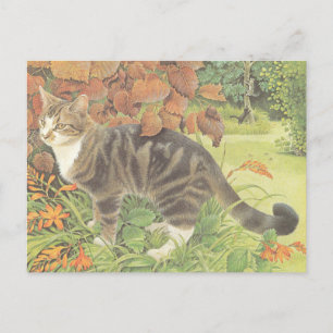 CAT PAINTED POSTCARD