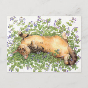 CAT PAINTING POSTCARD
