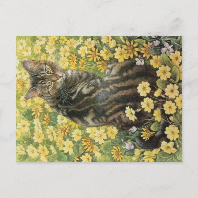 CAT PAINTING  POSTCARD (Front)