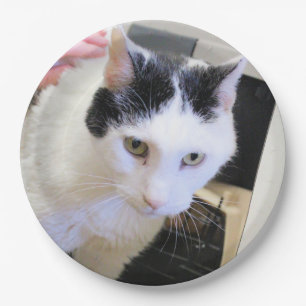 Cat  paper plate