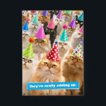 Cat Party<br><div class="desc">Drop the cake. | Avanti,  the Global Humour Brand™ has been entertaining the world with its Feel Good Funny greeting cards for over 40 years. Our characters live life to the fullest and celebrate the humour in everyday life.</div>