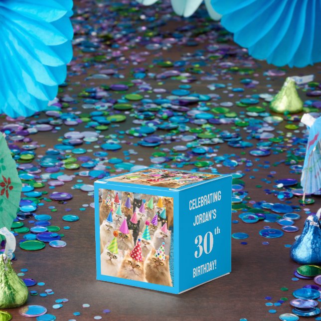 Cat Party Favor Box (Party)