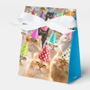 Cat Party Favor Box