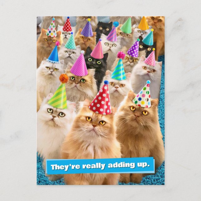 Cat Party Invitation Postcard (Front)