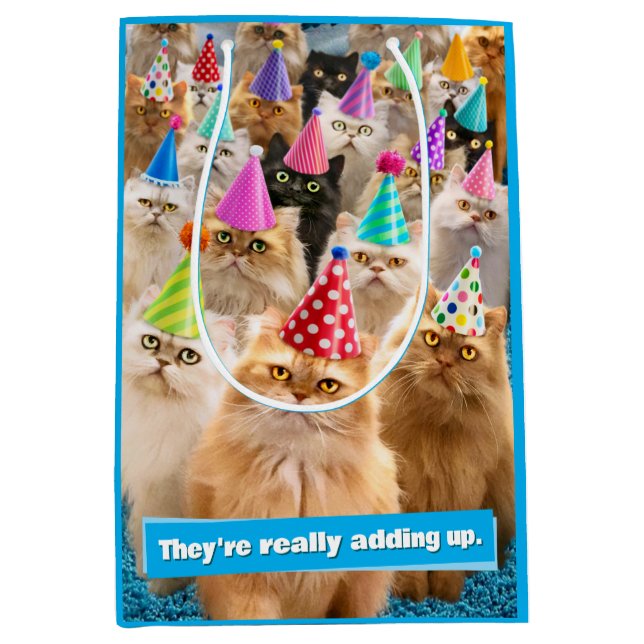 Cat Party Medium Gift Bag (Front)