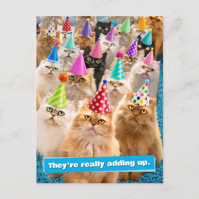 Cat Party Postcard (Front)