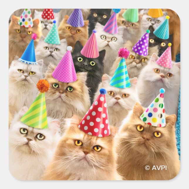 Cat Party Square Sticker (Front)
