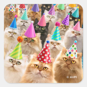Cat Party Square Sticker