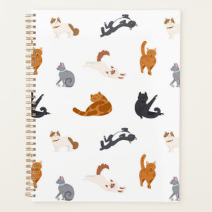 Cat pattern planner