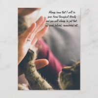 Cat Paw High-five