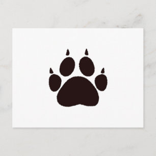 Cat Paw Prints Postcard