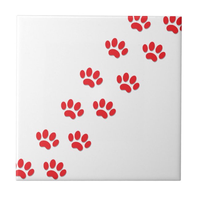 Cat Paws Feet Tile (Front)