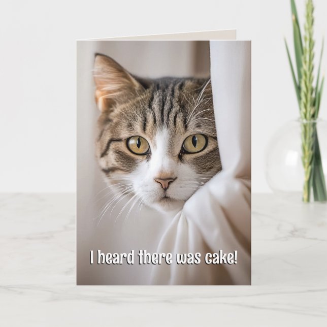 Cat Peeking Around Curtain Birthday Humour Card (Front)