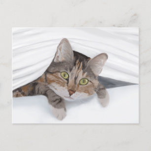 Cat Peeking Out JW Postcard