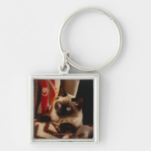 Cat peeking through quilt keychain