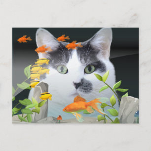 Cat Peering in Fish Tank Postcard