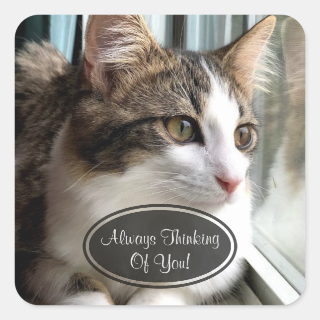 Cat Penser De Vous Stickers (Devant)