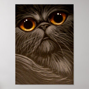 CAT PERSAN de SMOKEY PEIGNANT 1 affiche