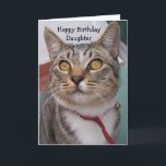 Cat Personalised Daughter Birthday Card<br><div class="desc">Greeting card tabby cat daughter birthday card. Customise this birthday card with any text then have it printed and sent to you or instantly download it to your mobile device. Should you require any help with customising then contact us through the link on this page. Cat personalised daughter birthday card...</div>