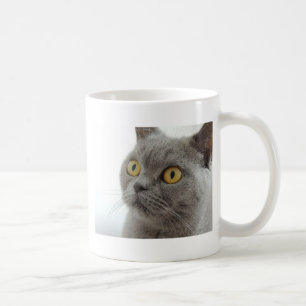 Cat Pet Animal Grumpy Frown Peace Love Destiny Coffee Mug