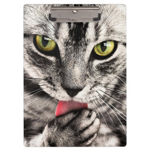Cat Pet Animal Portrait Clipboard