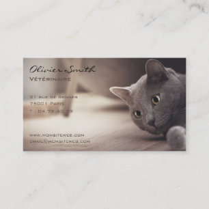 Cat, pet beautiful business card