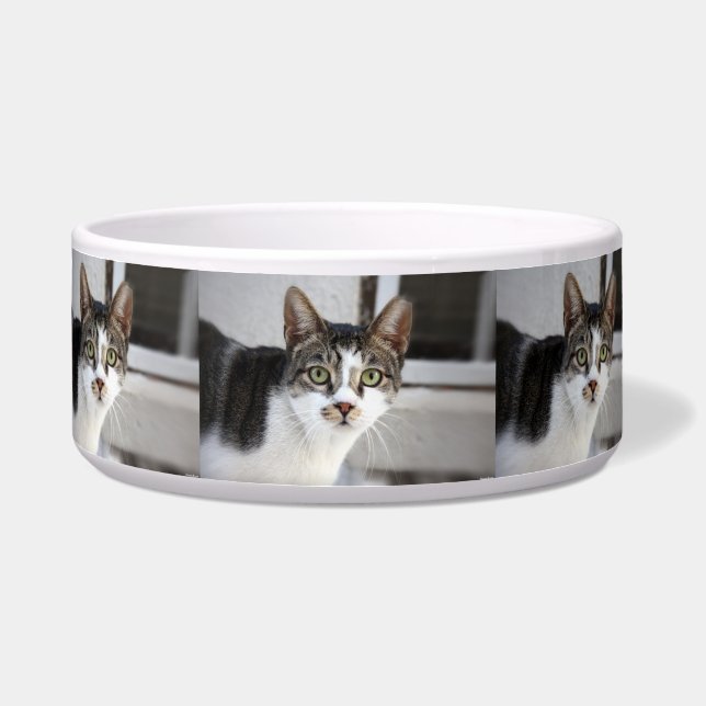 Cat Pet Bowl (Front)