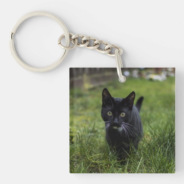 Cat, Pet, Feline Keychain (Front)