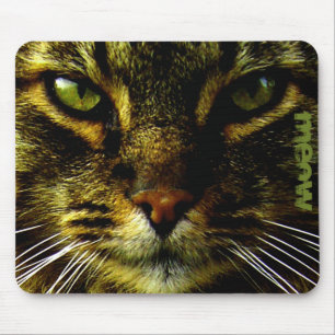 Cat Pet Hypnotizing Eyes Photo Custom Text Mouse Pad
