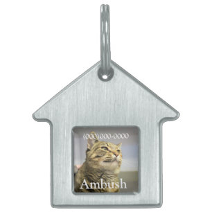 Cat Pet ID Tag