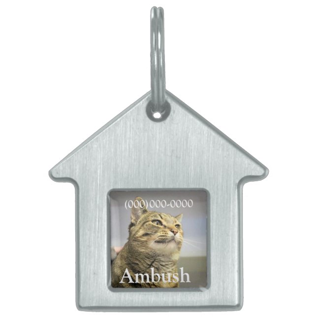 Cat Pet ID Tag (Front)