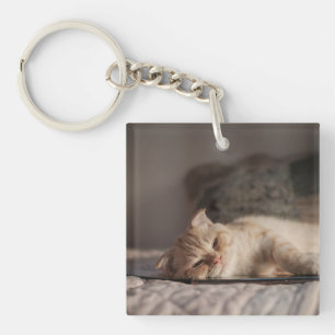 Cat, Pet, Kitten Keychain