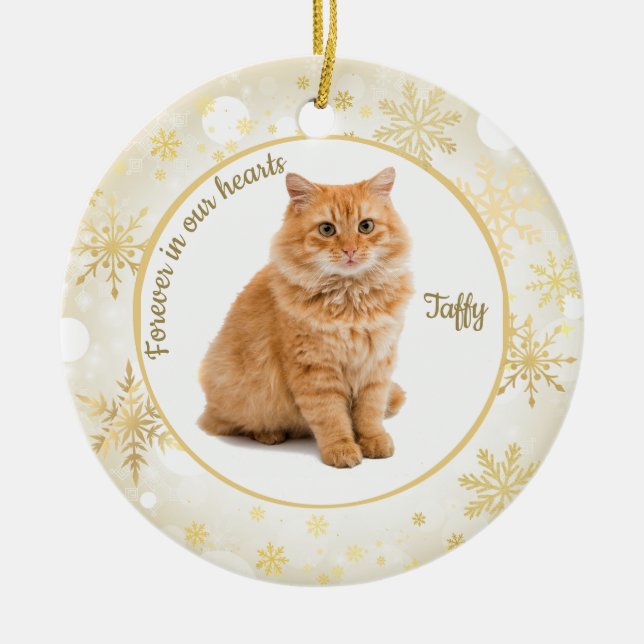 Cat Pet Memorial Ornament (Front)