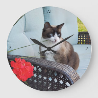 cat pet pet family loved feline large clock
