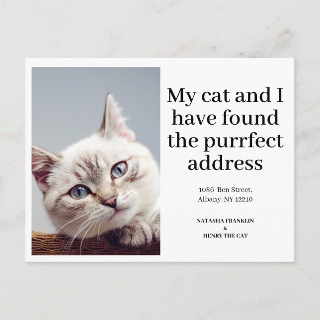 Cat Pet Photo New Address I've Moved Modern Announcement Postcard (Front)