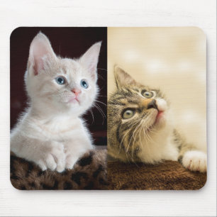 Cat Pet Photo Personalized Mouse Pad