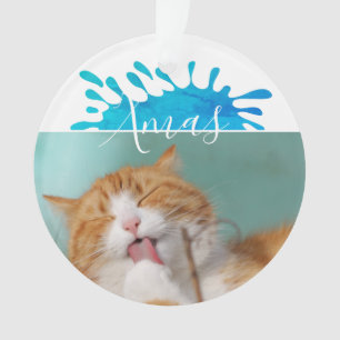 Cat Pet Photo Xs Script Noël