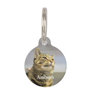 Cat Pet Tag