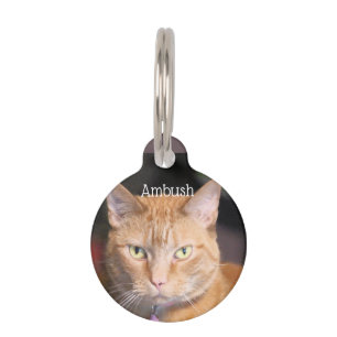Cat pet tag