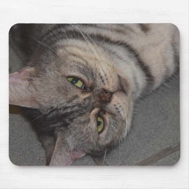 Cat、Pets、 Mouse Pad (Front)