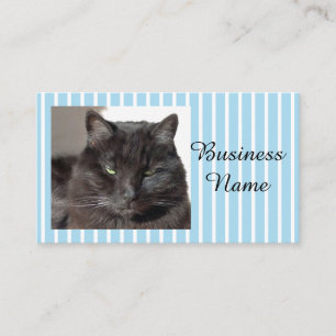 Cat Photo  Business Card