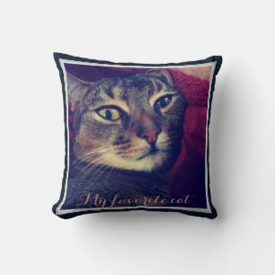 Cat photo, cat, Pets, funny cat Throw Pillow