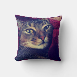 Cat photo, cat, Pets, funny cat, Throw Pillow