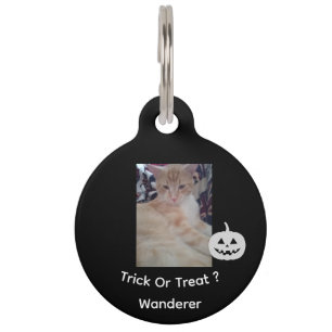 Cat Photo, Halloween Text, Name , Customize, Pet Tag
