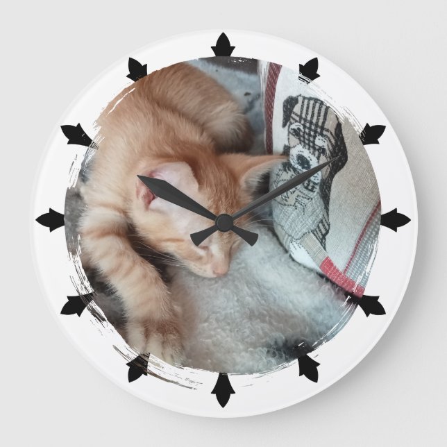 Cat Photo , Humour , replaceable, Round  Large Clock (Front)