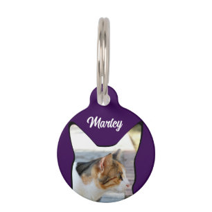 Cat photo ID tag