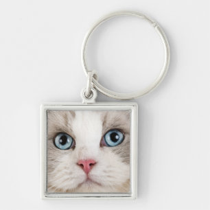 Cat Photo  Keychain