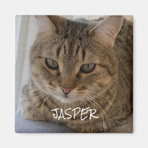 Cat Photo Magnet
